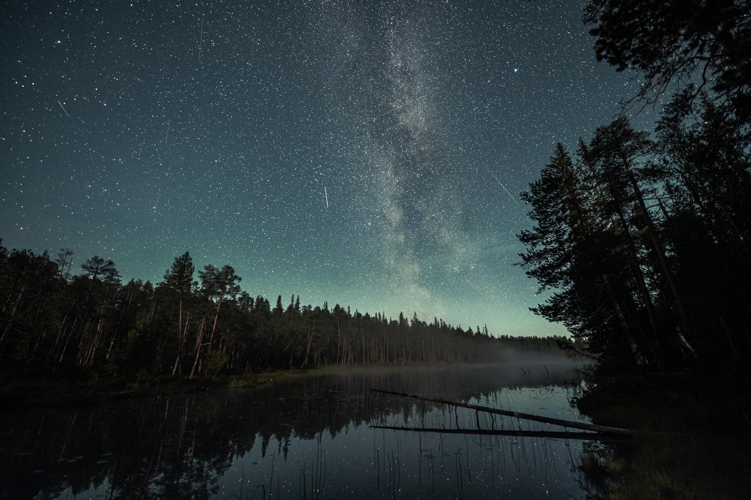 Survivor ohjelma Petäjävaarassa