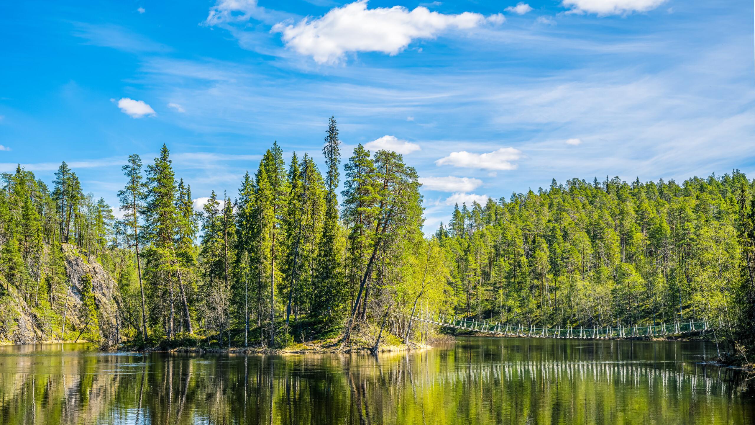 Tekemistä Oulangan kansallispuistossa