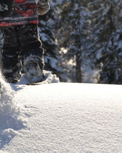 snowshoes tours in Ruka, Lapland
