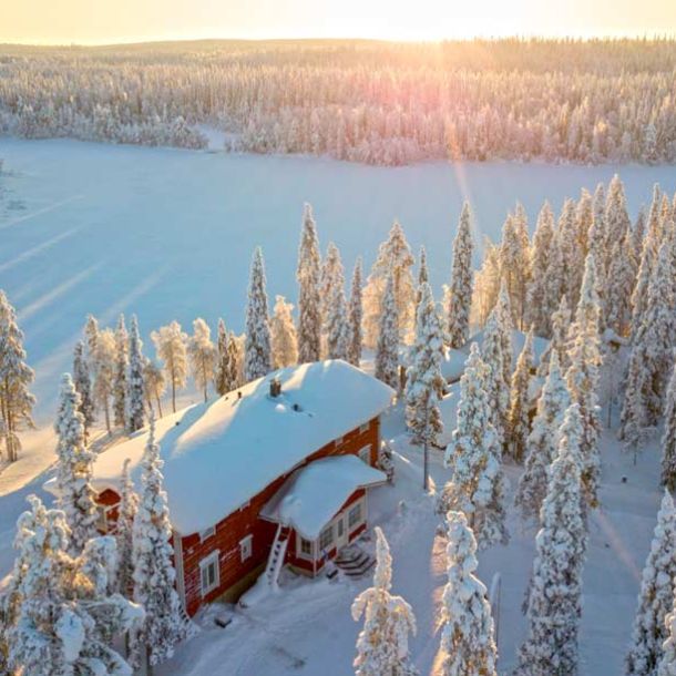 Arktiset eläimet porot ja huskyt