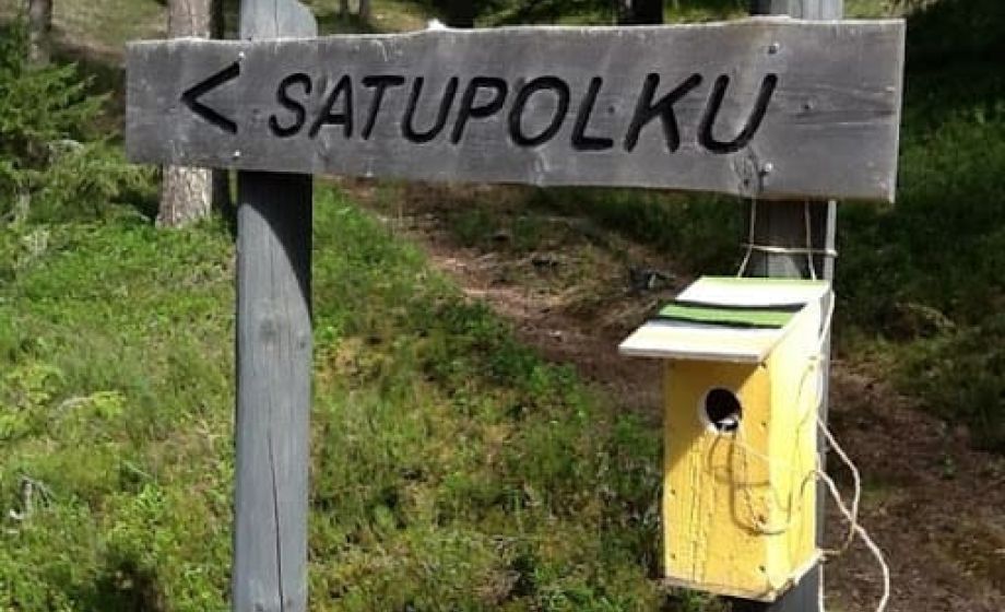 wp-content/uploads/2020/01/satupolku2.jpg