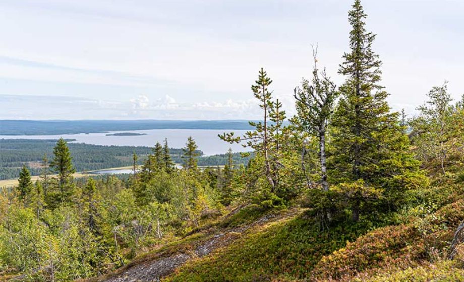 wp-content/uploads/2020/01/visittaivalkoski-pyhitys2.jpg