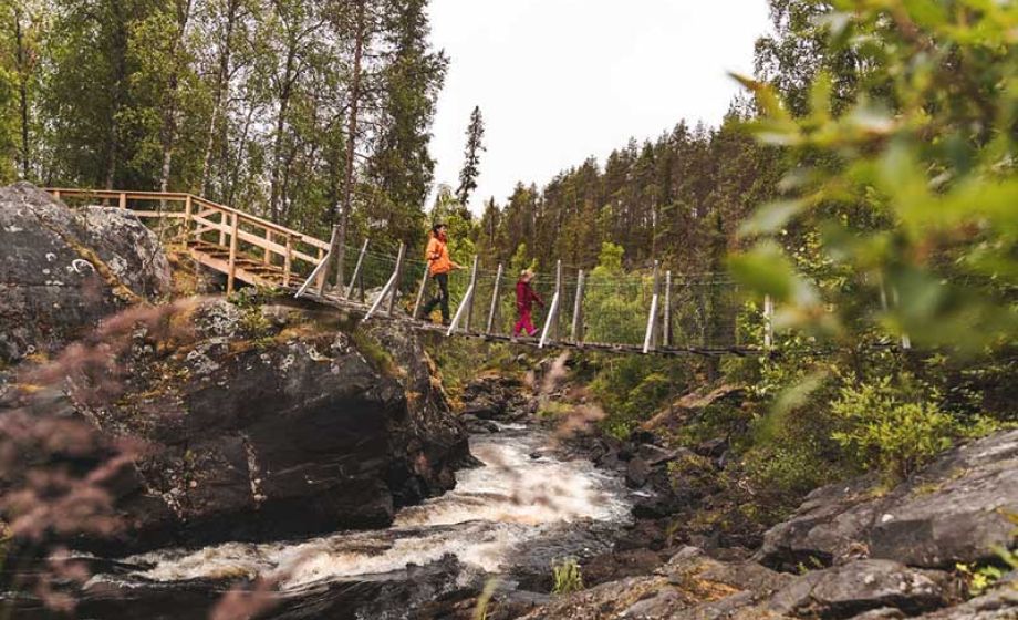 wp-content/uploads/2020/06/Oulanka_riippusilta.jpg