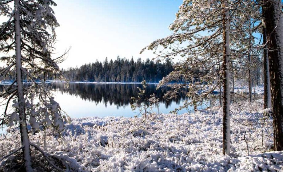 wp-content/uploads/2020/01/visittaivalkoski-soiperoinen-lampi.jpg