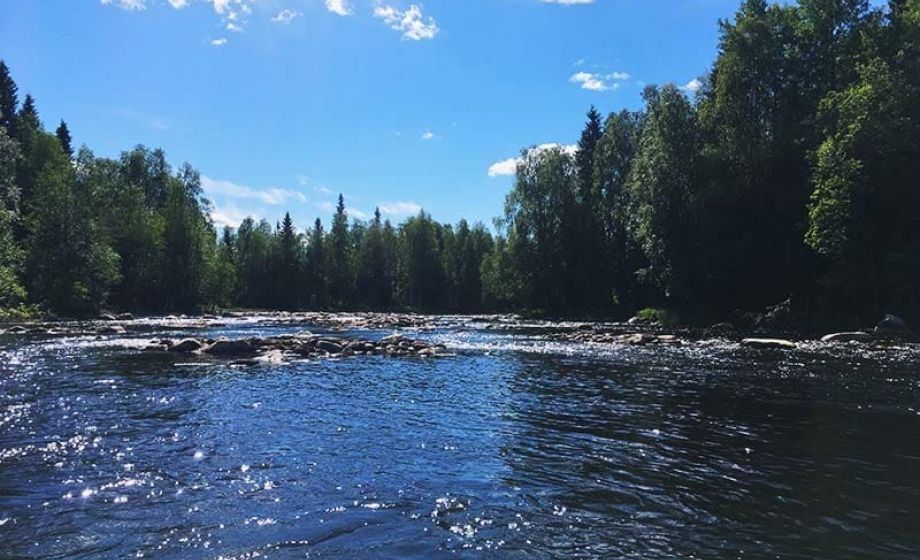 wp-content/uploads/2020/01/visittaivalkoski-kostonjoki.jpg